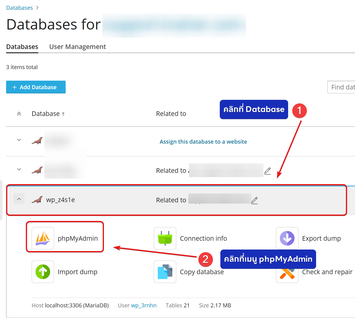 วิธีการเข้าใช้งาน phpMyAdmin บน Shared Hosting Plesk - Bangmod ...